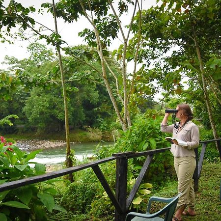 Chilamate Rainforest Eco Retreat Villa Puerto Viejo de Sarapiqui Exterior foto