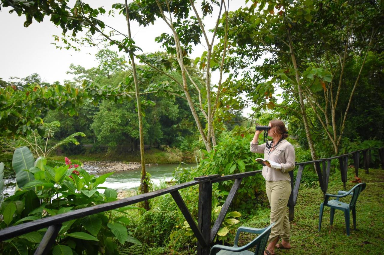 Chilamate Rainforest Eco Retreat Villa Puerto Viejo de Sarapiqui Exterior foto